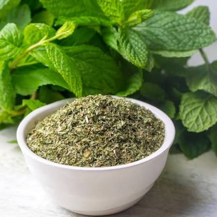 Mint Leaves